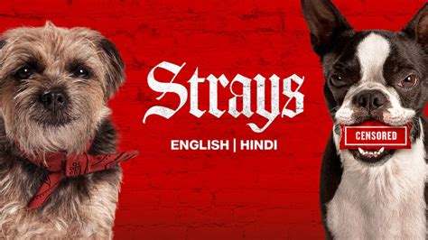 Strays 2023 Full movie online MyFlixer.